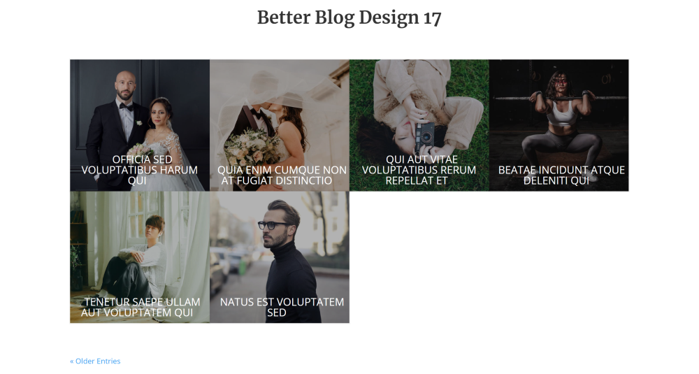 Better Blog Design 17 for Divi