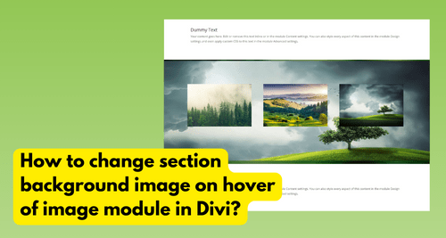 How to change section background image on hover of image module in Divi? – Asset #4